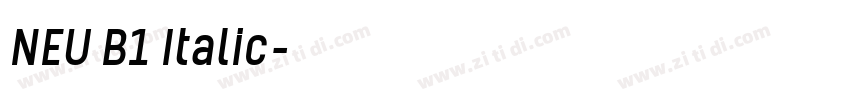 NEU B1 Italic字体转换 NEU B1 Italic字体转换